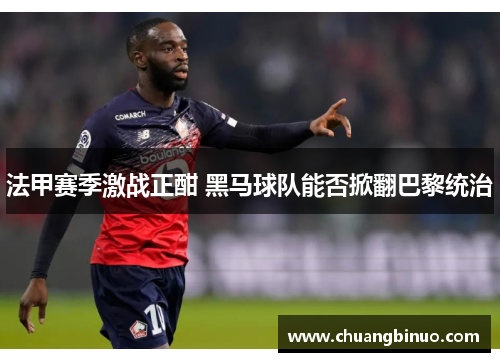 法甲赛季激战正酣 黑马球队能否掀翻巴黎统治